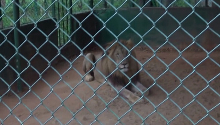 Трагедията се е разиграла, след като мъжът е влязъл в