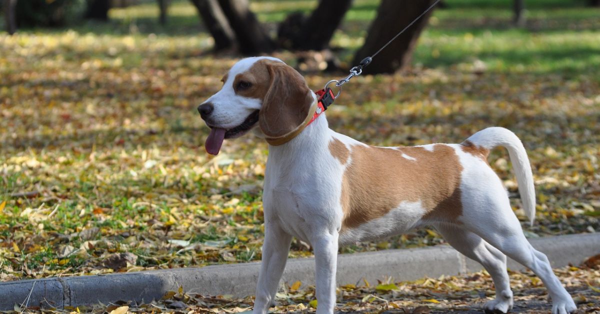 51-годишен мъж от Поморие е нанесъл прободни рани с нож