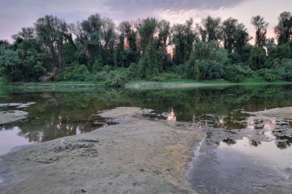 През юли в българския участък са преминали два пъти по-малко