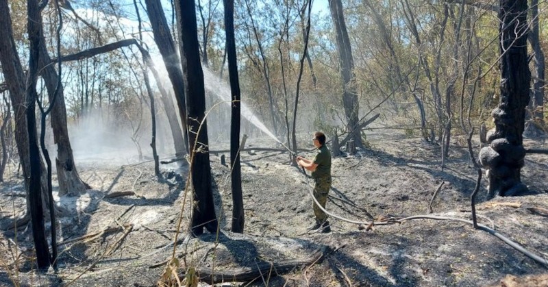 Нов пожар се разгоря в последните часовеПламъците са на границата