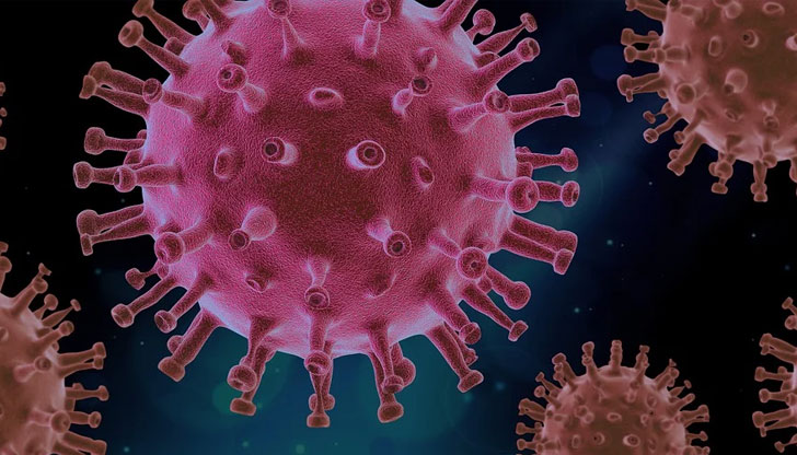 Положителни са близо 17% от взетите пробиНовите случаи на коронавирус