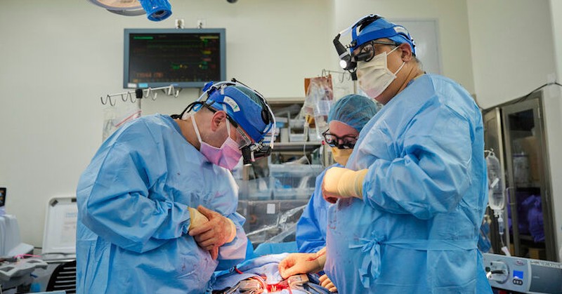 "Това показва, че изчезването на клетките може да бъде спряно",