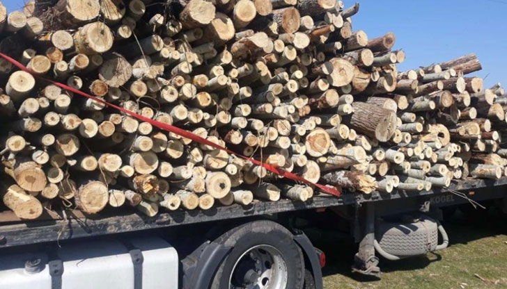 На частните борси тон дърва се търгува около 320 лв.