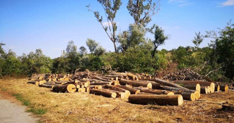 Оказа се, че в района е имало силна буря и