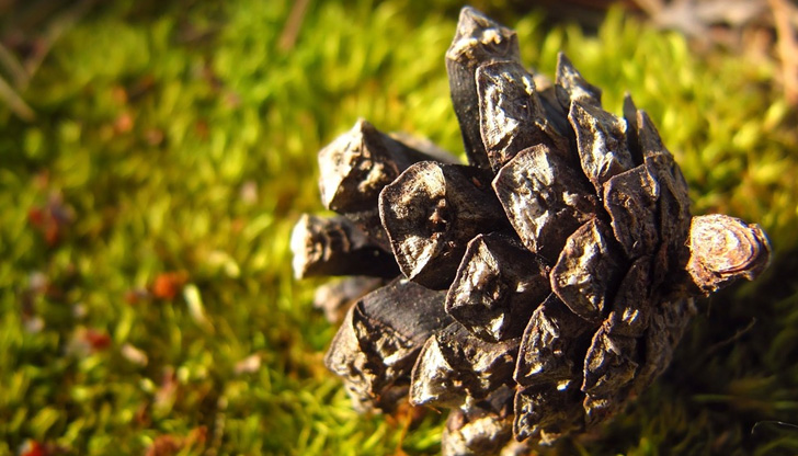 В понеделник в Североизточна България ще е предимно слънчево с