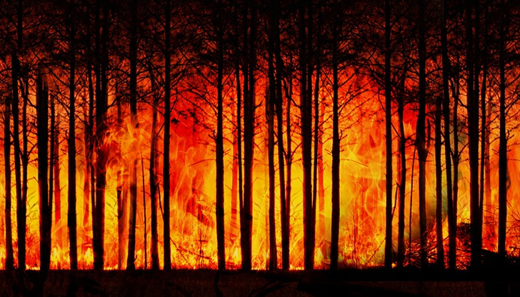 Над 1300 души бяха евакуирани заради поредния горски пожар в