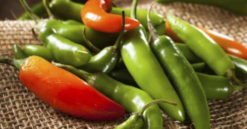 Най-лютата чушка в света официално е Carolina ReaperВ превод на