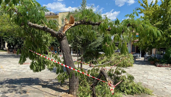 Торнадо предизвика паника в град Каламата, Южна Гърция, откъдето премина
