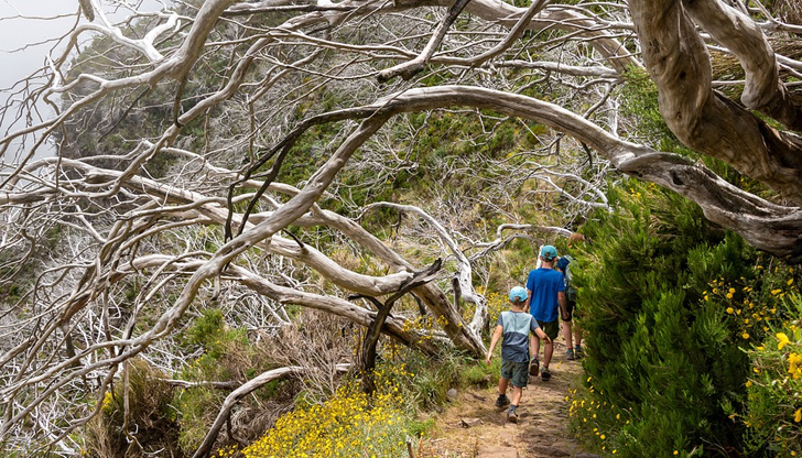 Сушата, изпепеляваща голяма част от Европейския съюз, се очаква да