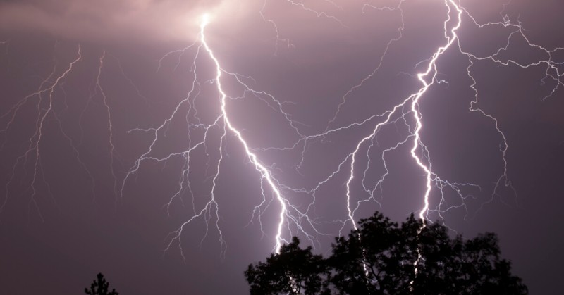 Детето ѝ както и нейното куче са пострадалиЖена от Флорида,