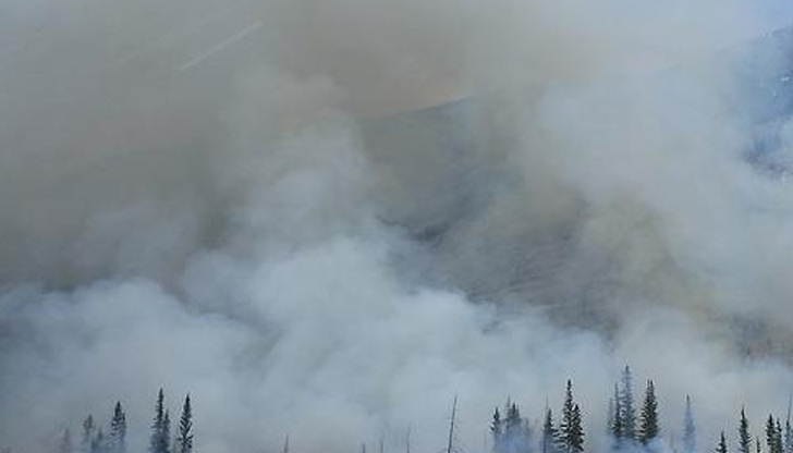Пожар в цех за патици близо до Враца. Той е