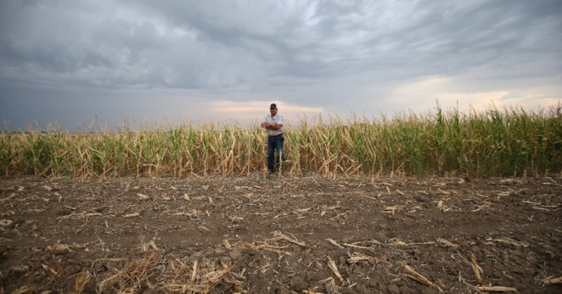 Властите преустановиха почистване на улици и поливане на паркове и