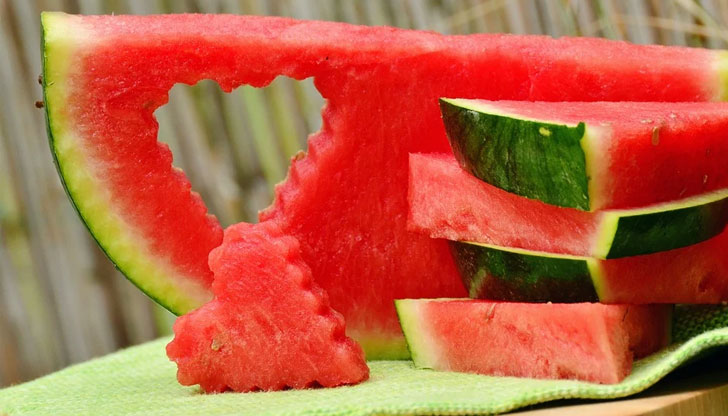 Смята се, че динята произлиза от Южна Африка, където видът