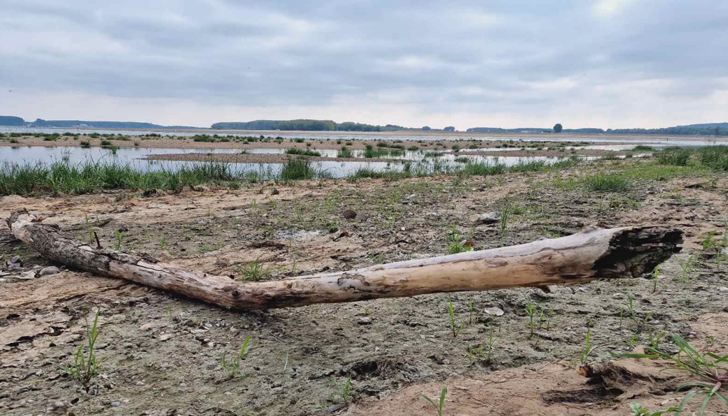 Критично ниско продължава да е нивото на река Дунав в