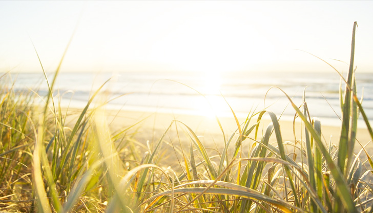Следобед по Северното Черноморие ще превалиПрез нощта времето ще е