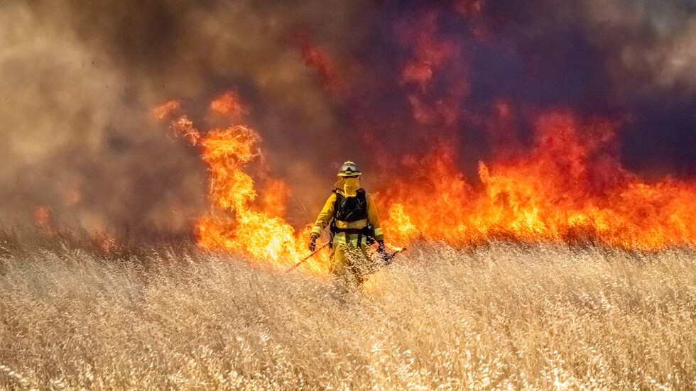 Запалила се е храстова растителност на дюнитеПожар гори на територията