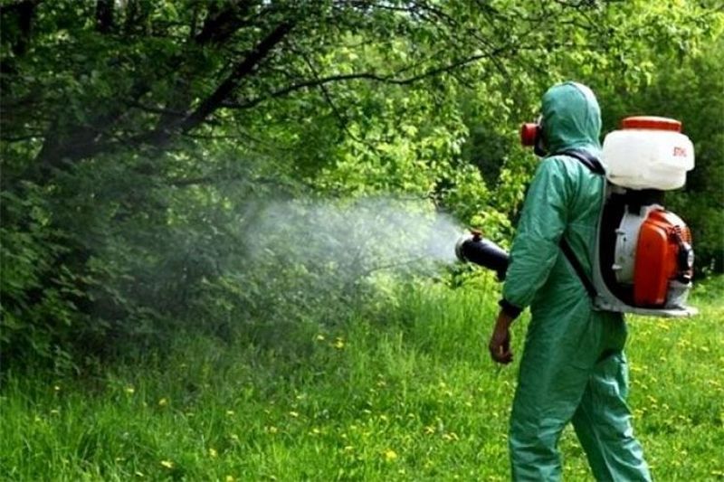 На 18 август, четвъртък, от 20:00 до 23:30 ч. ще