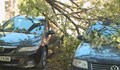 Бурният вятър нанесе щети в Русенско