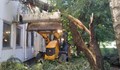 „Паркстрой“ поде акция за разчистването на паднали клони и дървета