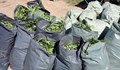 Иззеха 330 килограма марихуана при акция край Пазарджик
