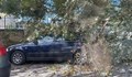 Клони от дървета затрупаха кола пред механа "Чифлика"