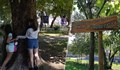 Деца направиха истинска горска еко пътека около РБ „Любен Каравелов“