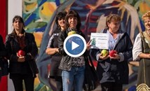 Ябълка с обиколка от 39 сантиметра спечели приза за най-едра в Кюстендилско