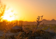 Днес времето ще е слънчево и топлоПрез деня ще е