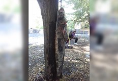 Бай Росен улови 45 килограмов сомНа 13 09 22 русенецът Бай Росен улови