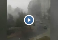 Щетите за земеделските производители са 95 Над 1500 декара лозови масиви