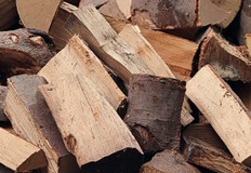 Фирми отказват да секат в общински стопанства хората принудени да