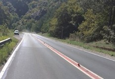 11 ограничителни колчета са изрязани в участъка от път I 1