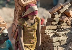 Около 50 милиона души в света живеят в капана на