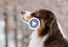 По високите планински върхове температурите са около 0 градусаСилна буря