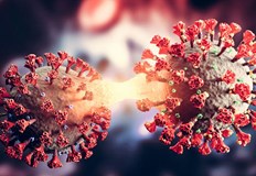 188 са новите случаи на COVID 19 в страната за последното