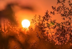 Времето ще бъде предимно слънчево и топлоМежду 12 и 16