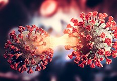 Активните случаи в страната намаляват и към днешна дата са 11