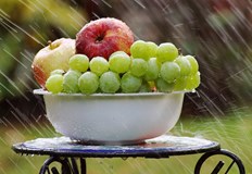 Добавянето на грозде към диетата забавя естествената смъртВ изчерпателни проучвания