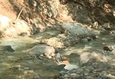 За мощта на стихията може да се съди по кората