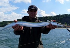 Откачва се от куката и се зашеметяваВ началото на септемвририбарите