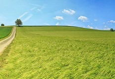 Невероятно но факт България е преобладаващо зелена   над 90 е