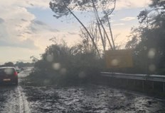 Мълниите около Бургас доближават 3000 за последния часНяколко купесто дъждовни ядра се движат