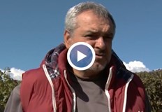 Колко се очаква да плащаме за това удоволствие Цените у нас