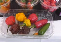 Във Враца започна състезание по надяждане с люти чушкиЗа първи