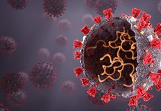 За първи път у нас е установен случай на подвариант