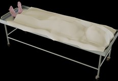 Миене на трупове премахване на урина и изпражнения са част от