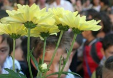 Очаква се над 57 000 първокласници да тръгнат на училище