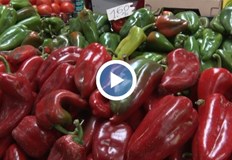 В сезона на туршиите търсенето на късните зеленчуци на пазара