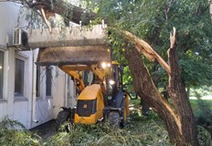 Общинско предприятие Паркстрой с акция за разчистването на паднали клони