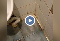 В банята има мухъл и влага в стаята имало паяци